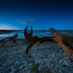 Exposition sur l'île Wrac'h, été 2014 © Mathieu Le Gall